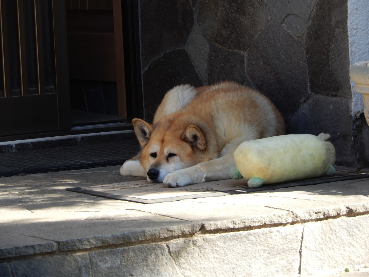 f:id:crosstalk:20211028130405j:plain:w500