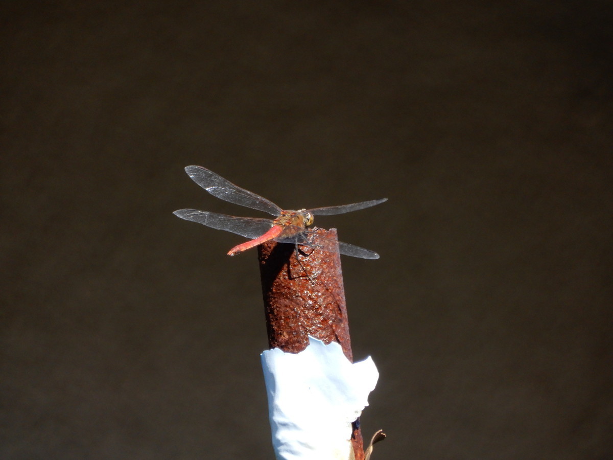 f:id:crosstalk:20211029132039j:plain:w500