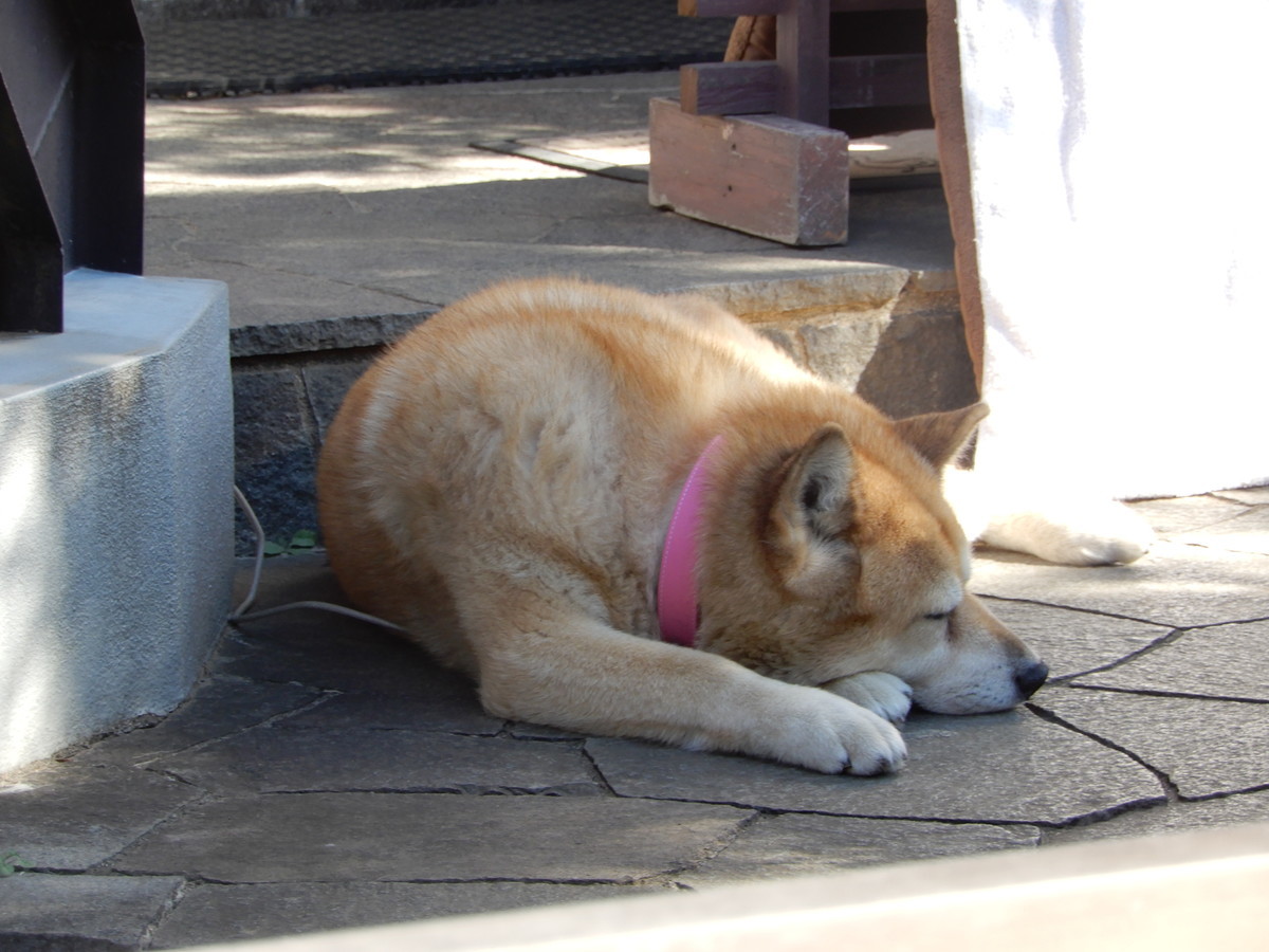 f:id:crosstalk:20211029132156j:plain:w500