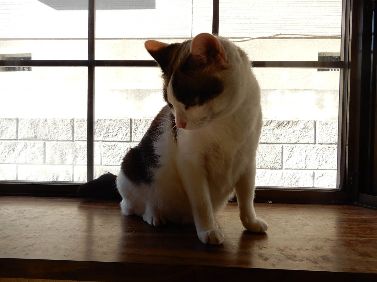 f:id:crosstalk:20211029132704j:plain:w500