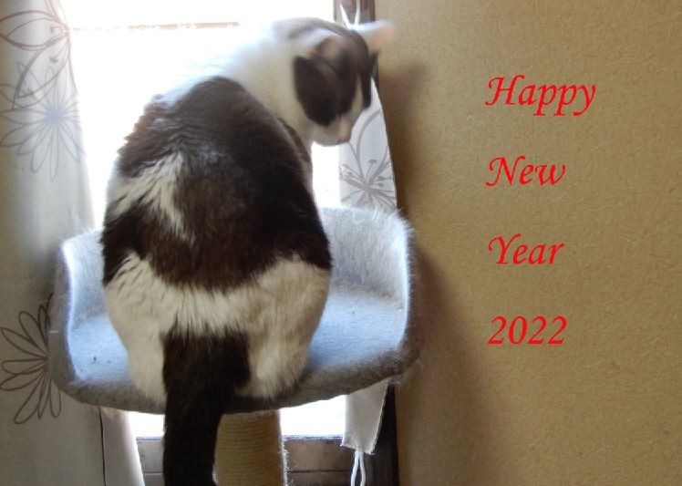 f:id:crosstalk:20220101105649j:plain:w600