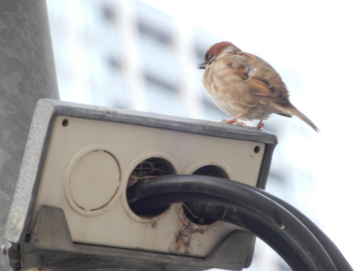 f:id:crosstalk:20220413055915j:plain:w500