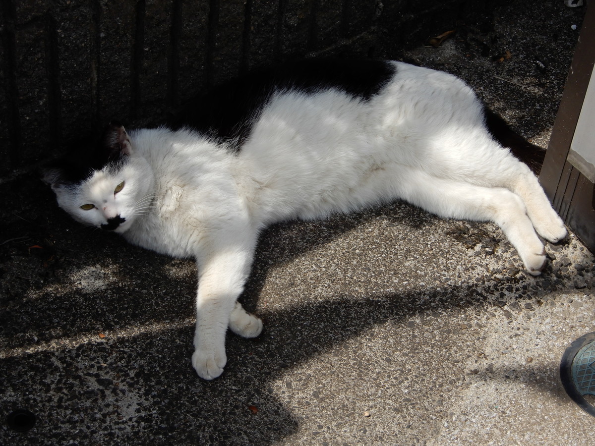 f:id:crosstalk:20220413125419j:plain:w500