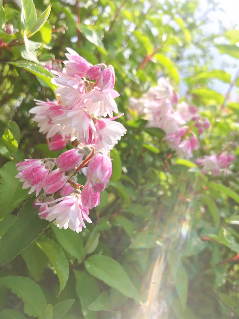 f:id:crow1213:20200520113403j:image f:id:crow1213:20200520113403j:image