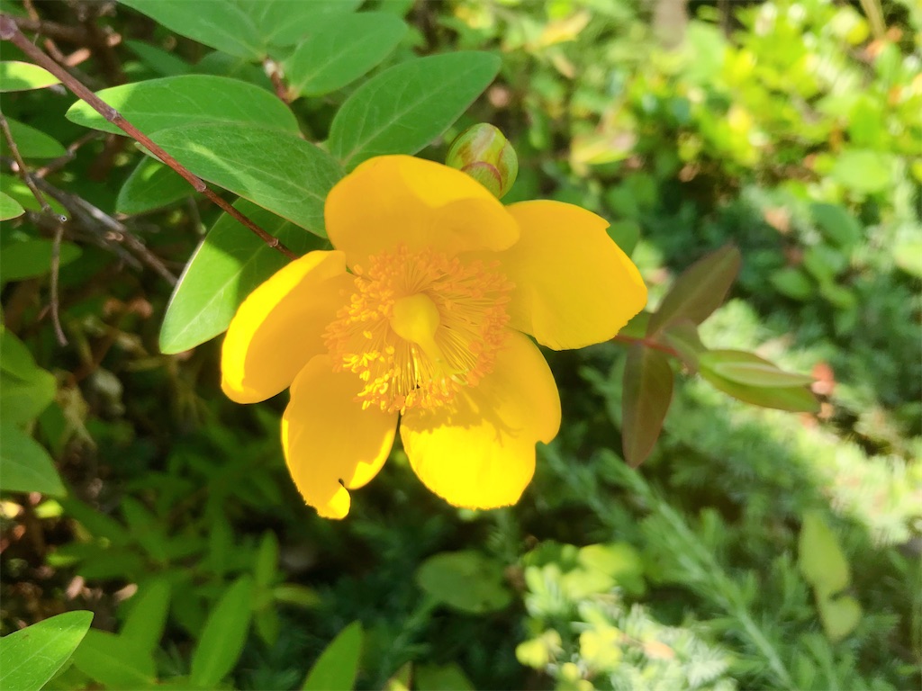 f:id:crow1213:20200529120055j:image