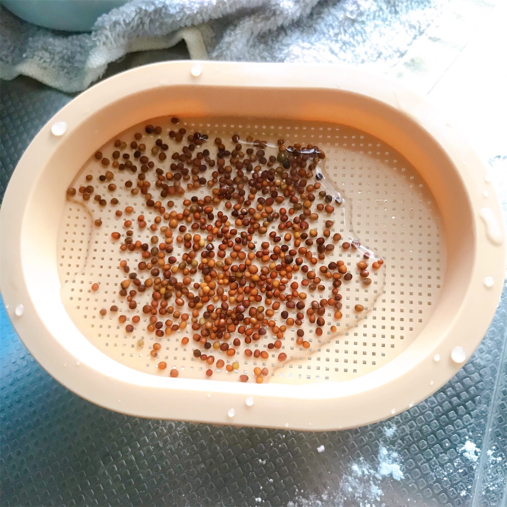 f:id:crow1213:20200615204145j:image