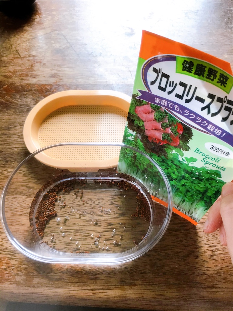 f:id:crow1213:20200615204149j:image