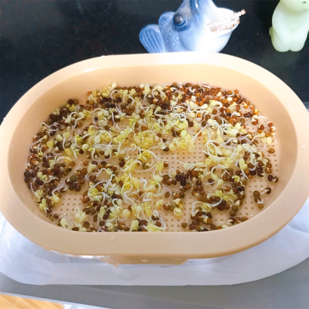 f:id:crow1213:20200616213602j:image