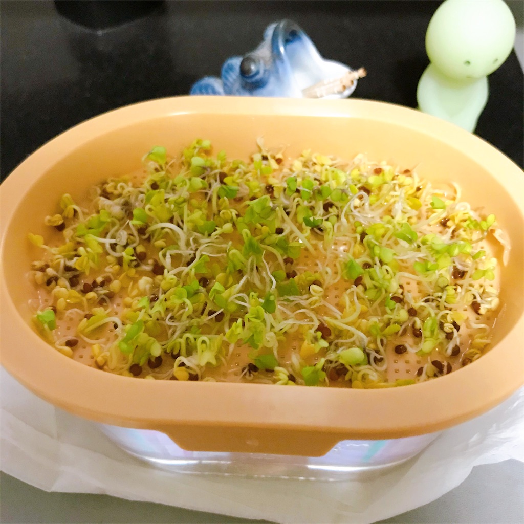 f:id:crow1213:20200618211539j:image