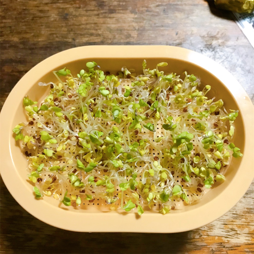 f:id:crow1213:20200618214720j:image