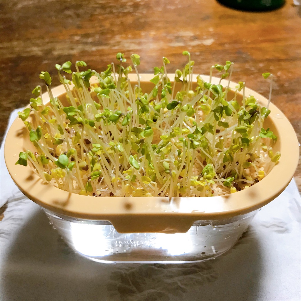 f:id:crow1213:20200619230712j:image