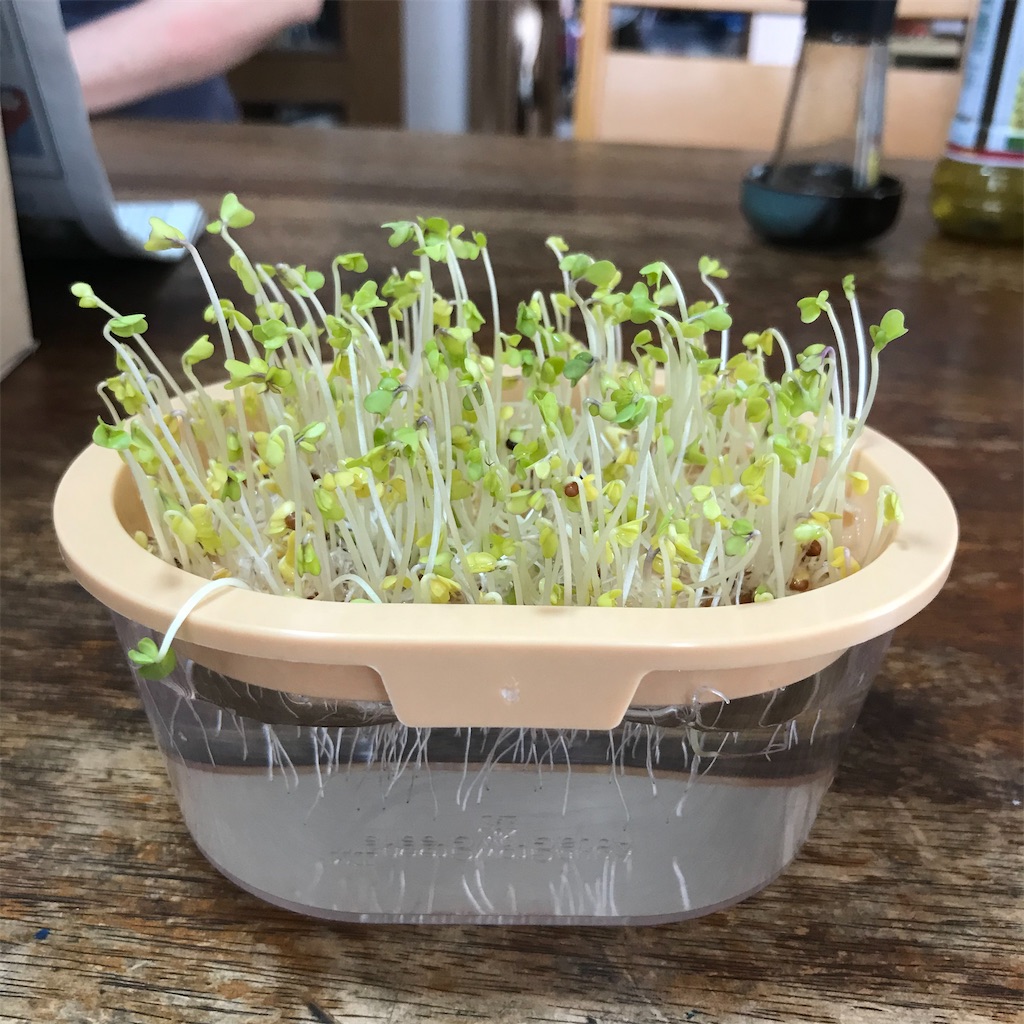 f:id:crow1213:20200620223852j:image f:id:crow1213:20200620223852j:image