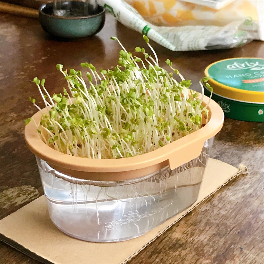 f:id:crow1213:20200620225953j:image f:id:crow1213:20200620225953j:image