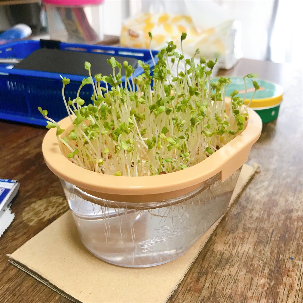 f:id:crow1213:20200620230049j:image f:id:crow1213:20200620230049j:image