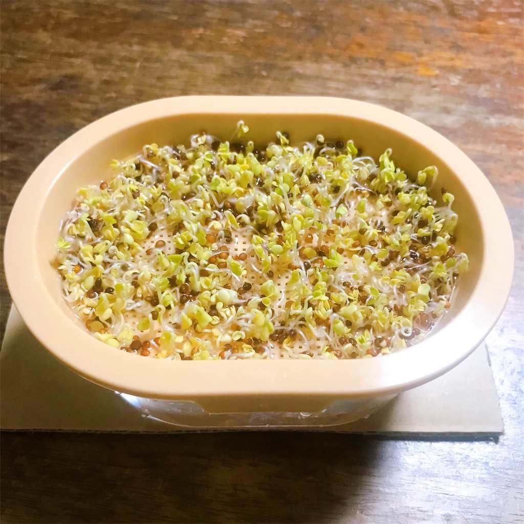 f:id:crow1213:20200628215104j:image f:id:crow1213:20200628215104j:image