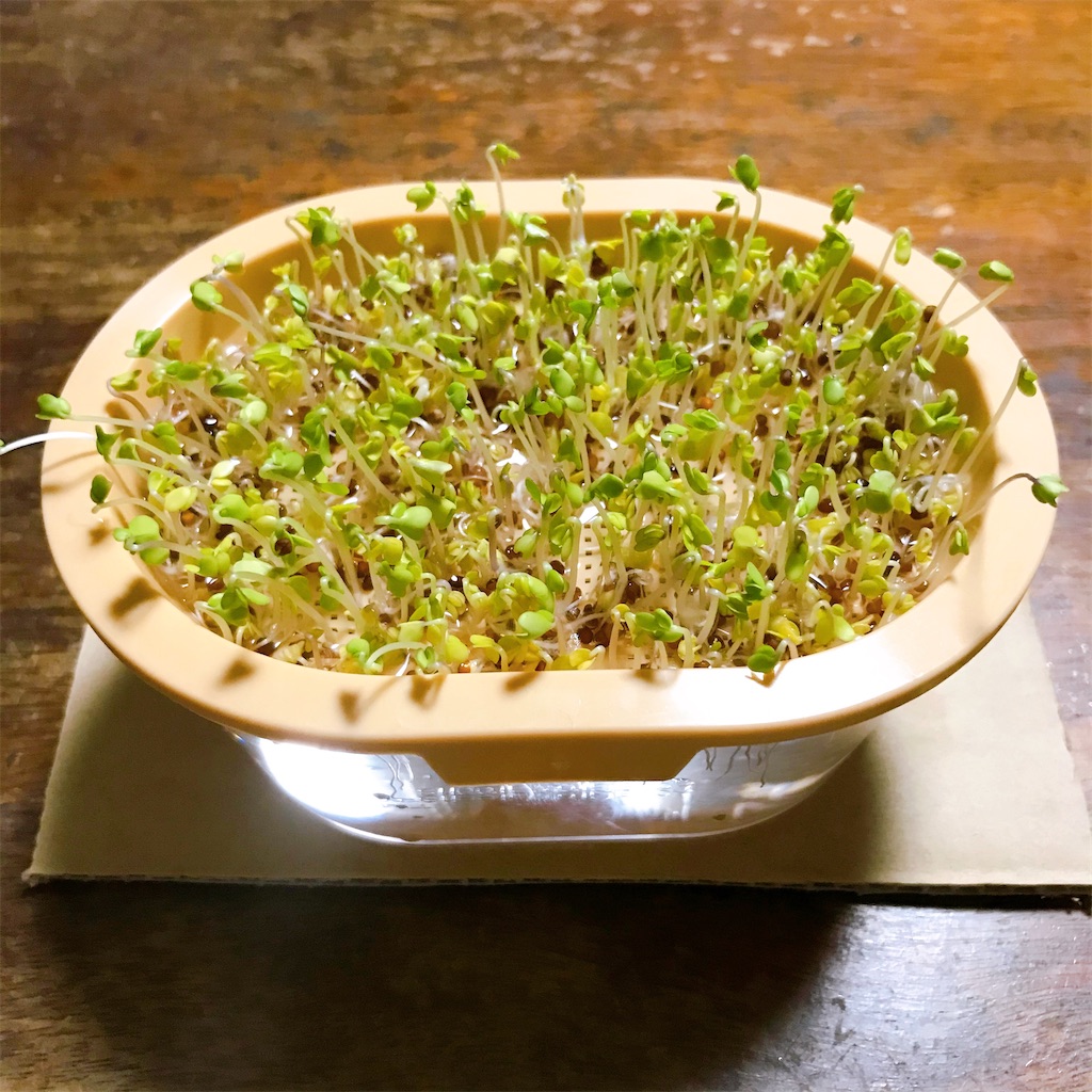 f:id:crow1213:20200628215739j:image f:id:crow1213:20200628215739j:image