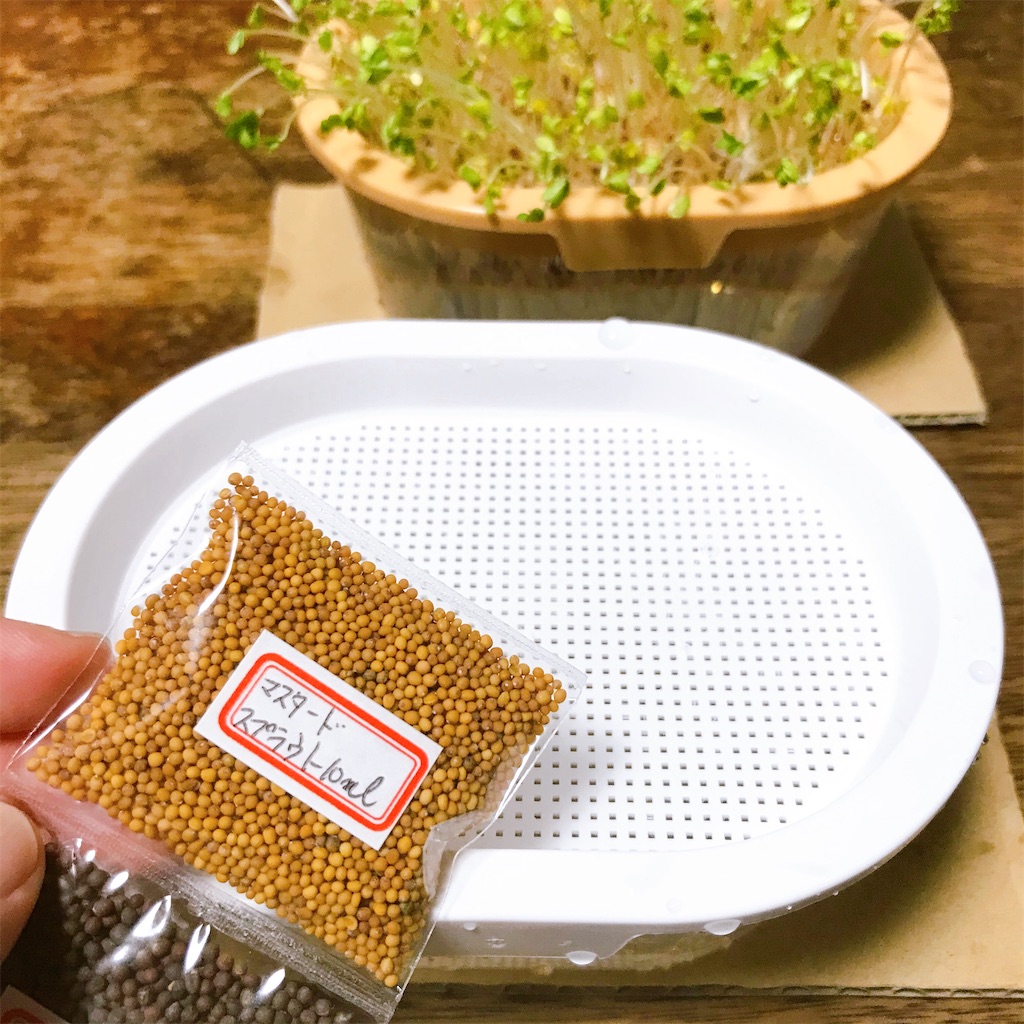 f:id:crow1213:20200630201654j:image f:id:crow1213:20200630201654j:image