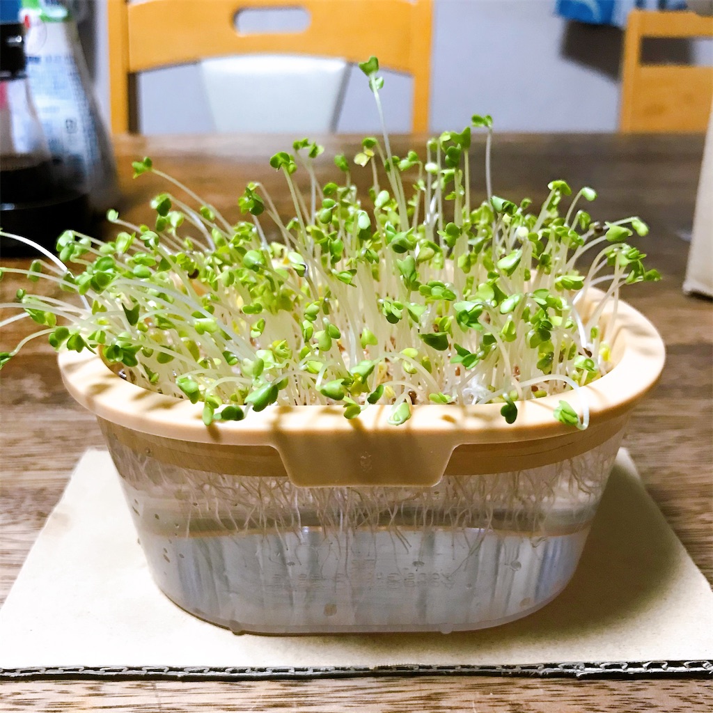 f:id:crow1213:20200630201658j:image f:id:crow1213:20200630201658j:image