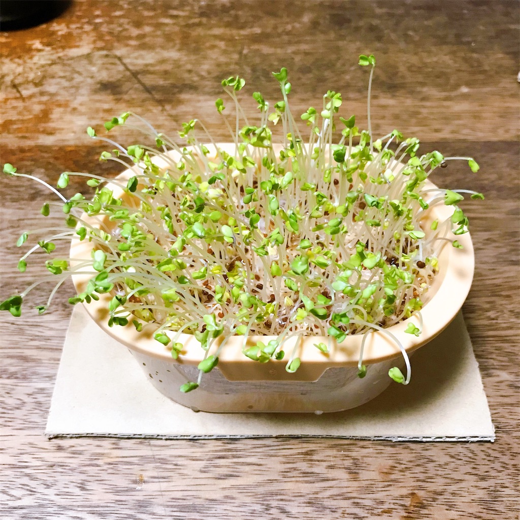 f:id:crow1213:20200630201706j:image f:id:crow1213:20200630201706j:image