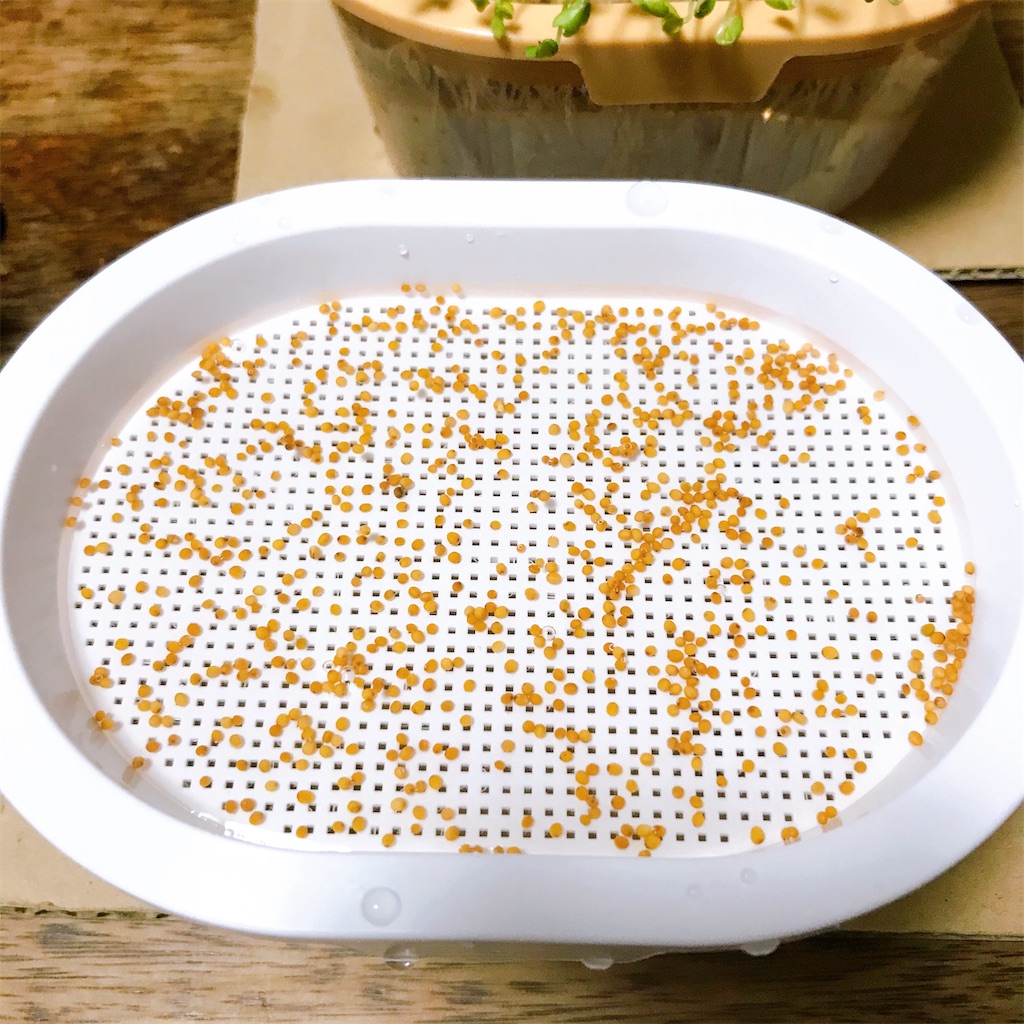 f:id:crow1213:20200630201711j:image f:id:crow1213:20200630201711j:image