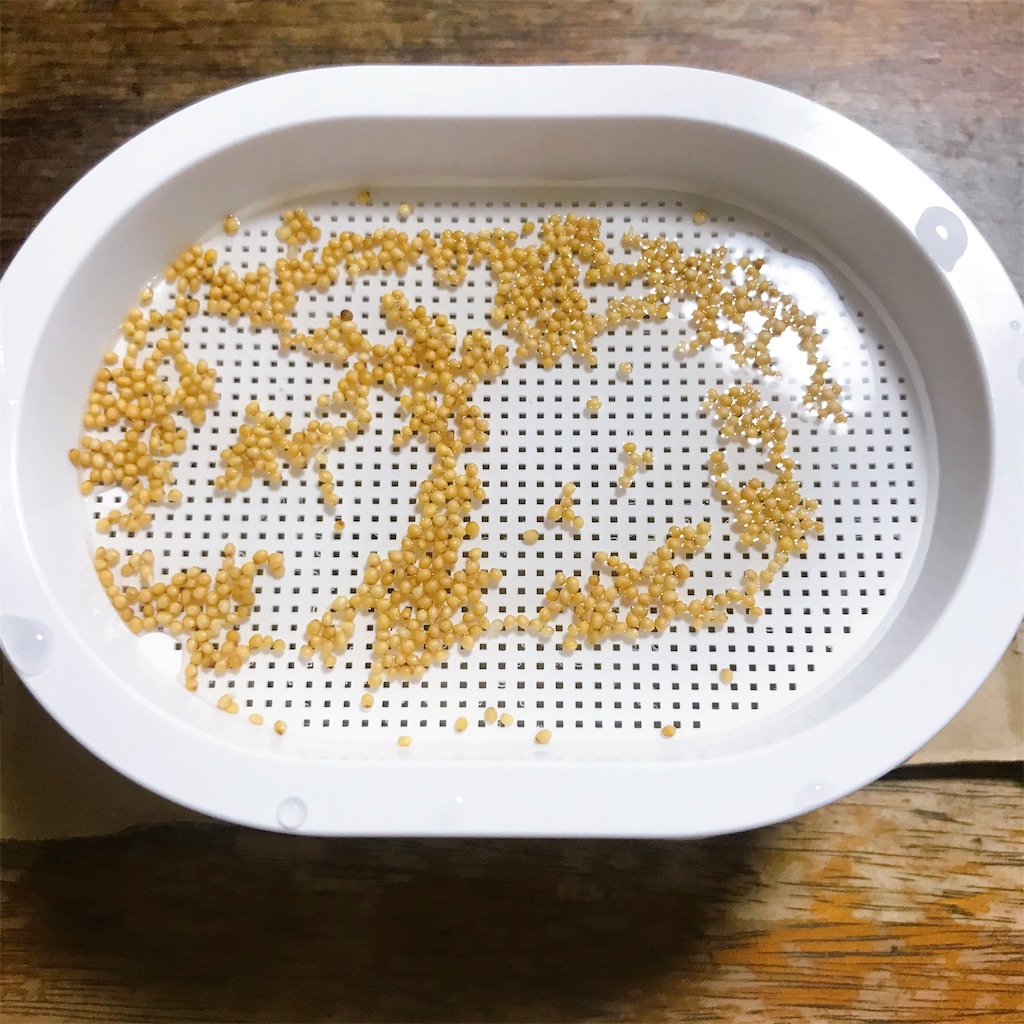 f:id:crow1213:20200702211649j:image f:id:crow1213:20200702211649j:image