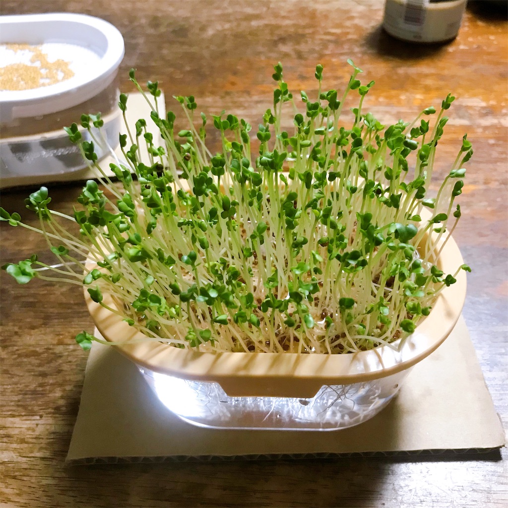 f:id:crow1213:20200702211653j:image f:id:crow1213:20200702211653j:image