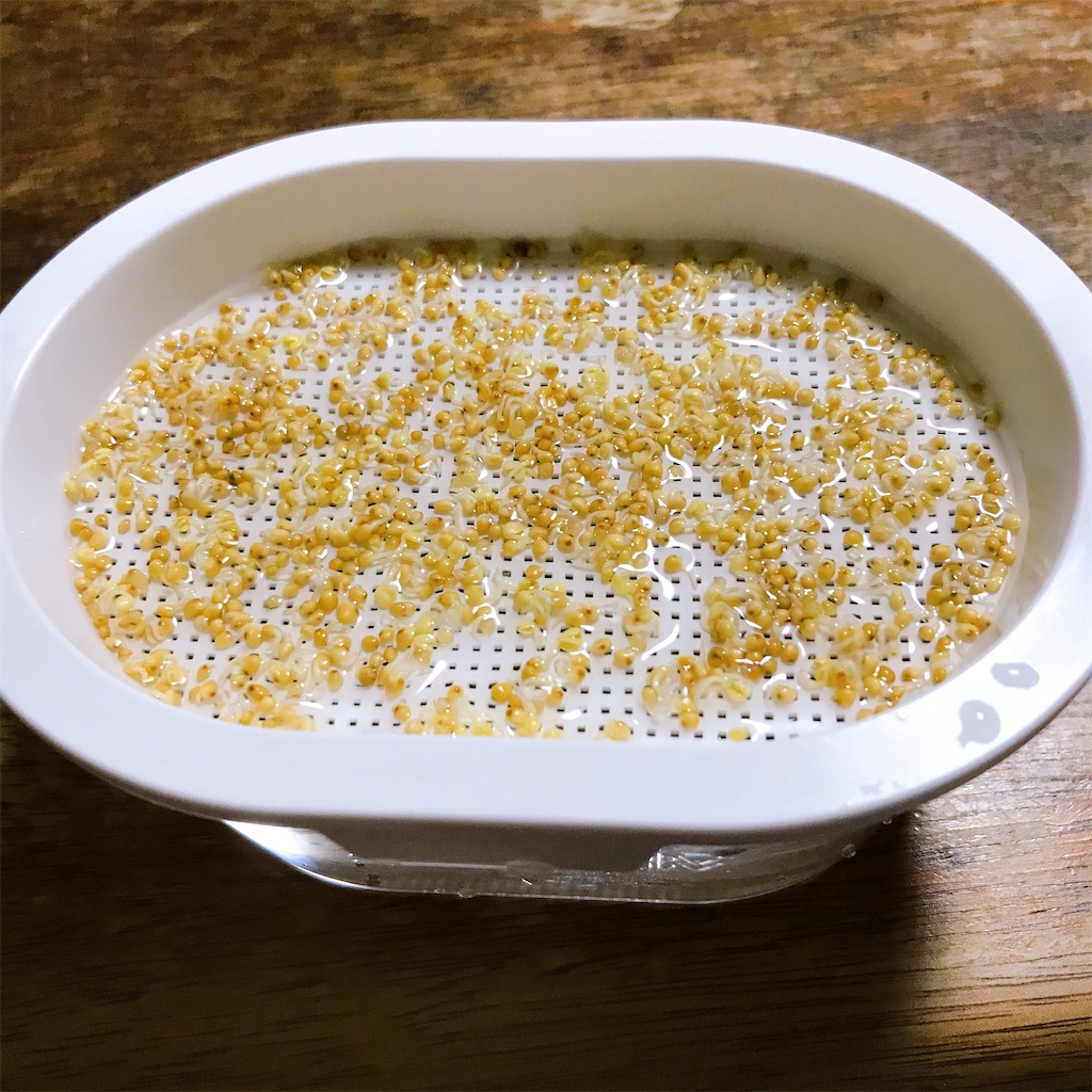 f:id:crow1213:20200702212147j:image f:id:crow1213:20200702212147j:image