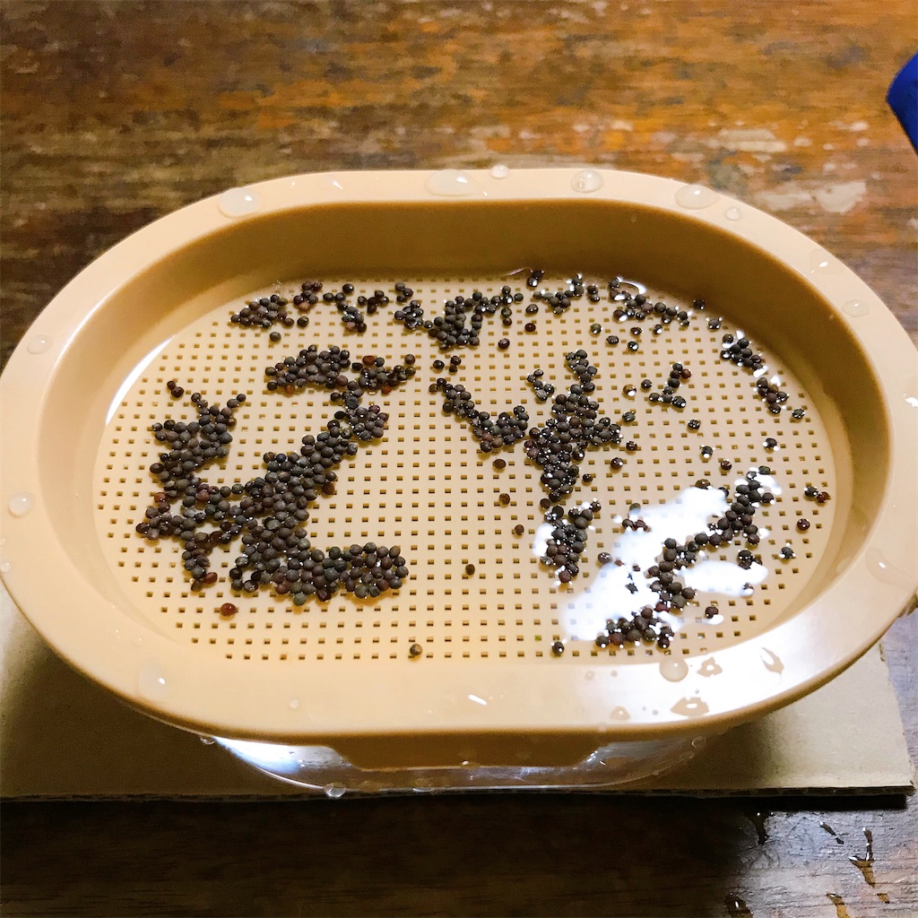 f:id:crow1213:20200702212457j:image f:id:crow1213:20200702212457j:image