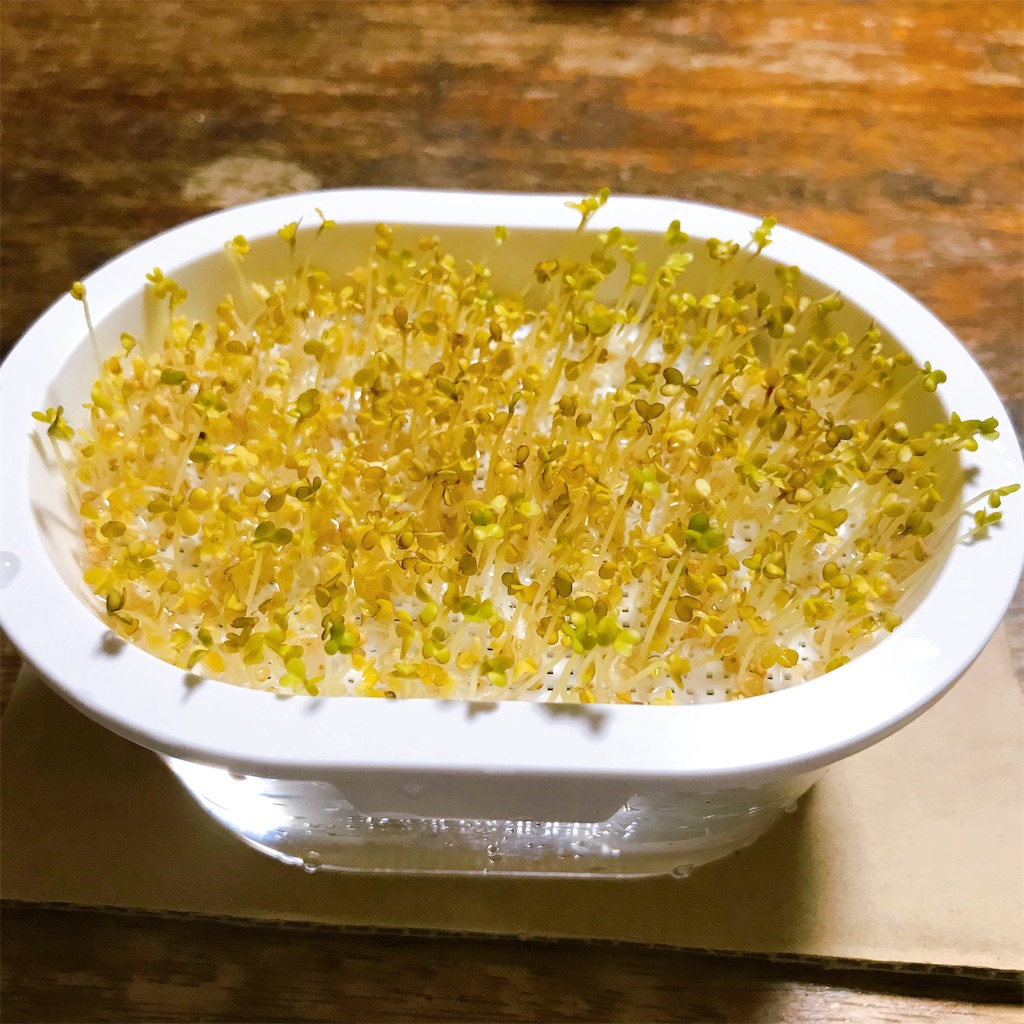 f:id:crow1213:20200703215219j:image f:id:crow1213:20200703215219j:image