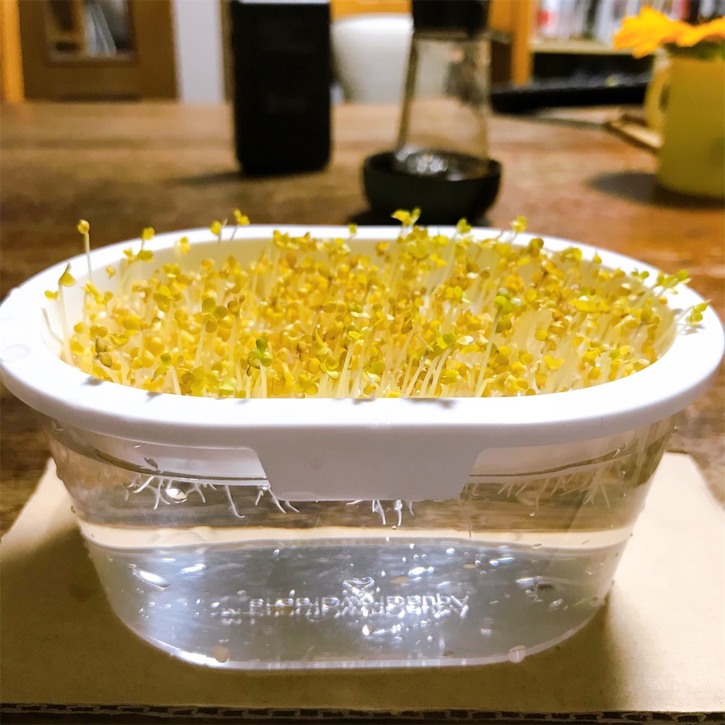 f:id:crow1213:20200703215223j:image f:id:crow1213:20200703215223j:image