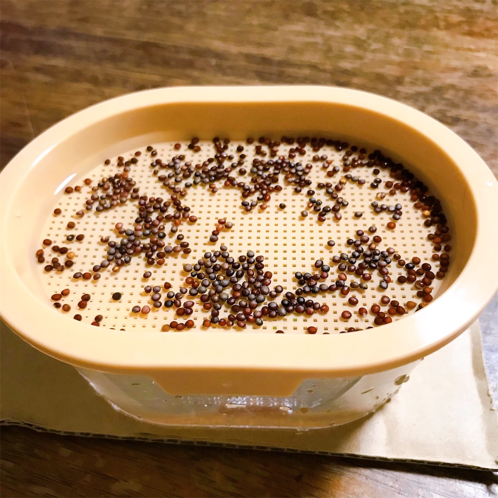 f:id:crow1213:20200703215228j:image f:id:crow1213:20200703215228j:image