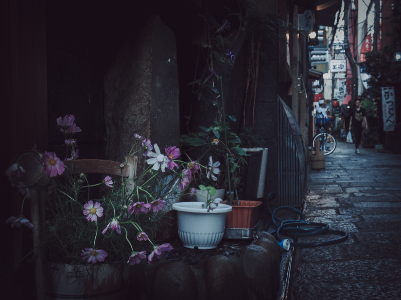 f:id:crow538:20191001204522j:plain f:id:crow538:20191001204522j:plain