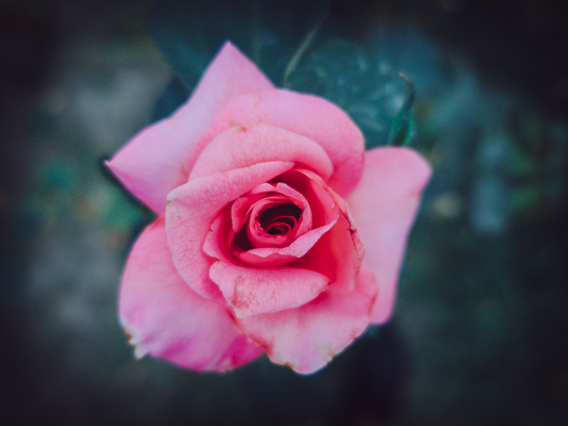 f:id:crow538:20191002200452j:plain f:id:crow538:20191002200452j:plain