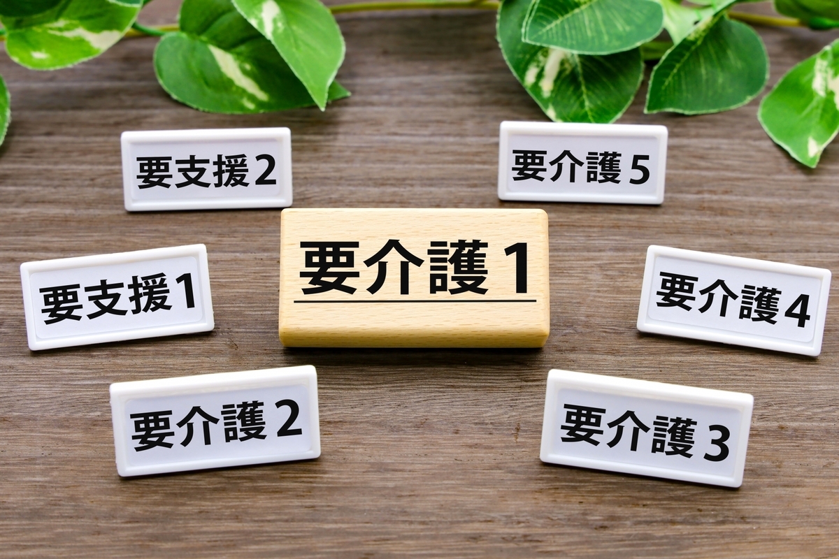 要支援、要介護認定の結果について