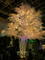 f:id:crowdeer:20041205124001:image:small f:id:crowdeer:20041205124001:image:small