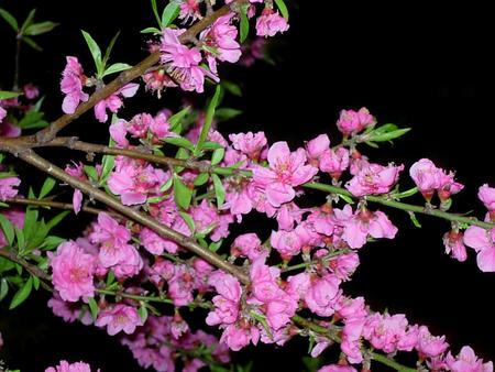 f:id:crowdeer:20050404224917:image