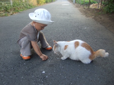 20100904172416