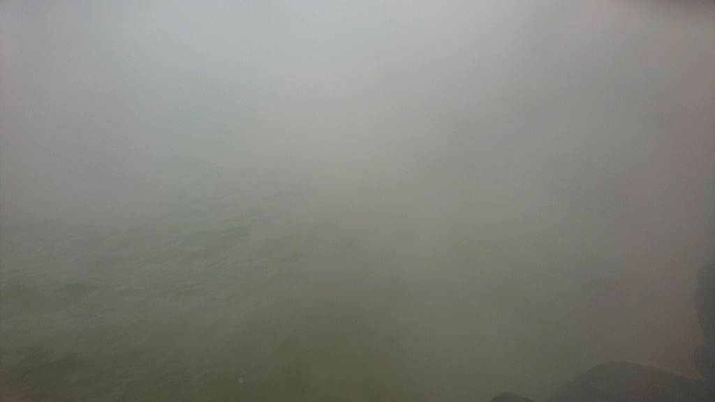 f:id:crownoise:20161116204020j:plain