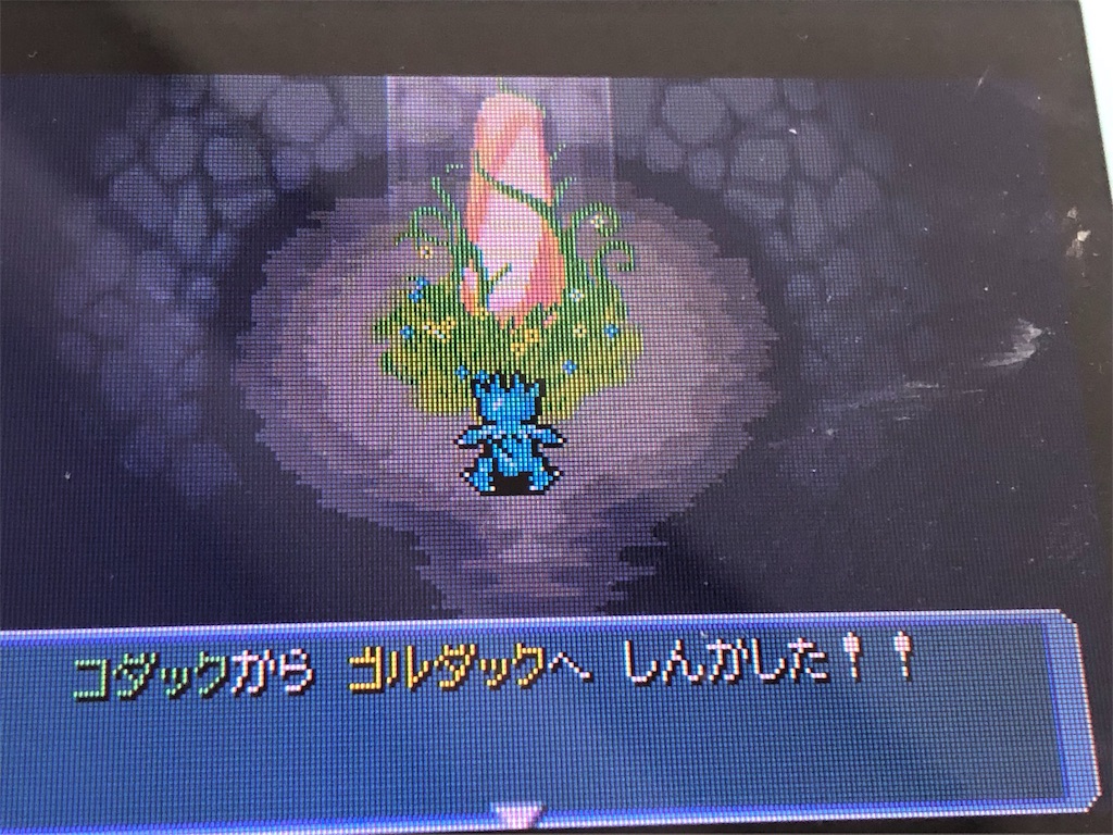 ポケモン不思議のダンジョン赤の救助隊全クリへの道 8日目 元公認会計士受験生のブログ Mなり