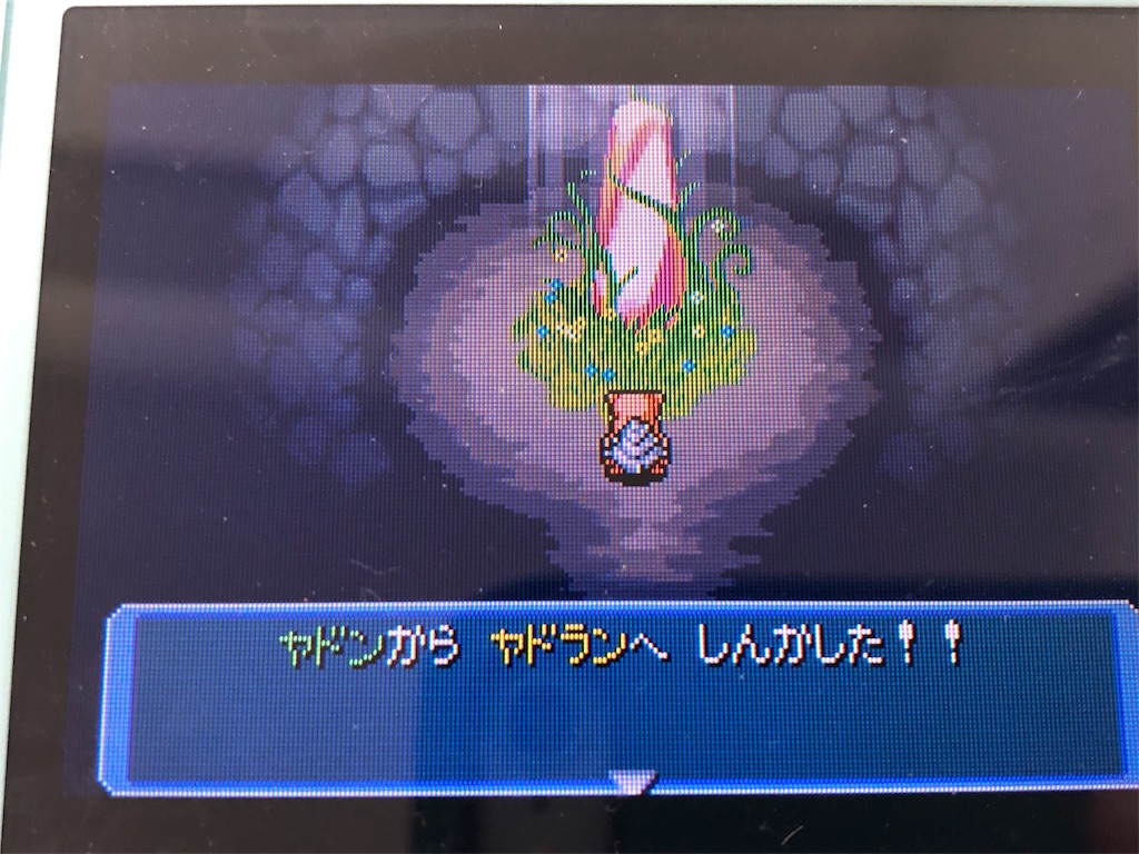 f:id:crw09ry19:20190527222432j:image f:id:crw09ry19:20190527222432j:image