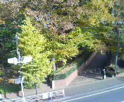 f:id:cry_condor:20071127000135j:image