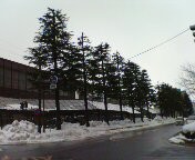 f:id:cry_condor:20080220032023j:image