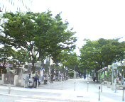 f:id:cry_condor:20080625025825j:image f:id:cry_condor:20080625025825j:image