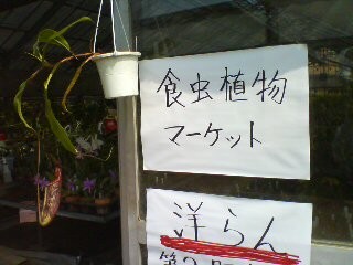 f:id:cry_condor:20080721025747j:image