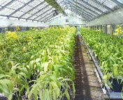 f:id:cry_condor:20080721031830j:image