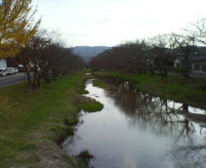 f:id:cry_condor:20081122171232j:image