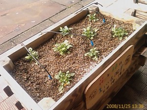 f:id:cry_condor:20081125133939j:image