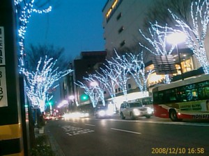 f:id:cry_condor:20081210165851j:image f:id:cry_condor:20081210165851j:image