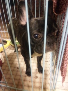 f:id:cry_condor:20090117204839j:image