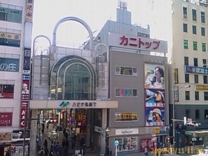 f:id:cry_condor:20090311113402j:image f:id:cry_condor:20090311113402j:image